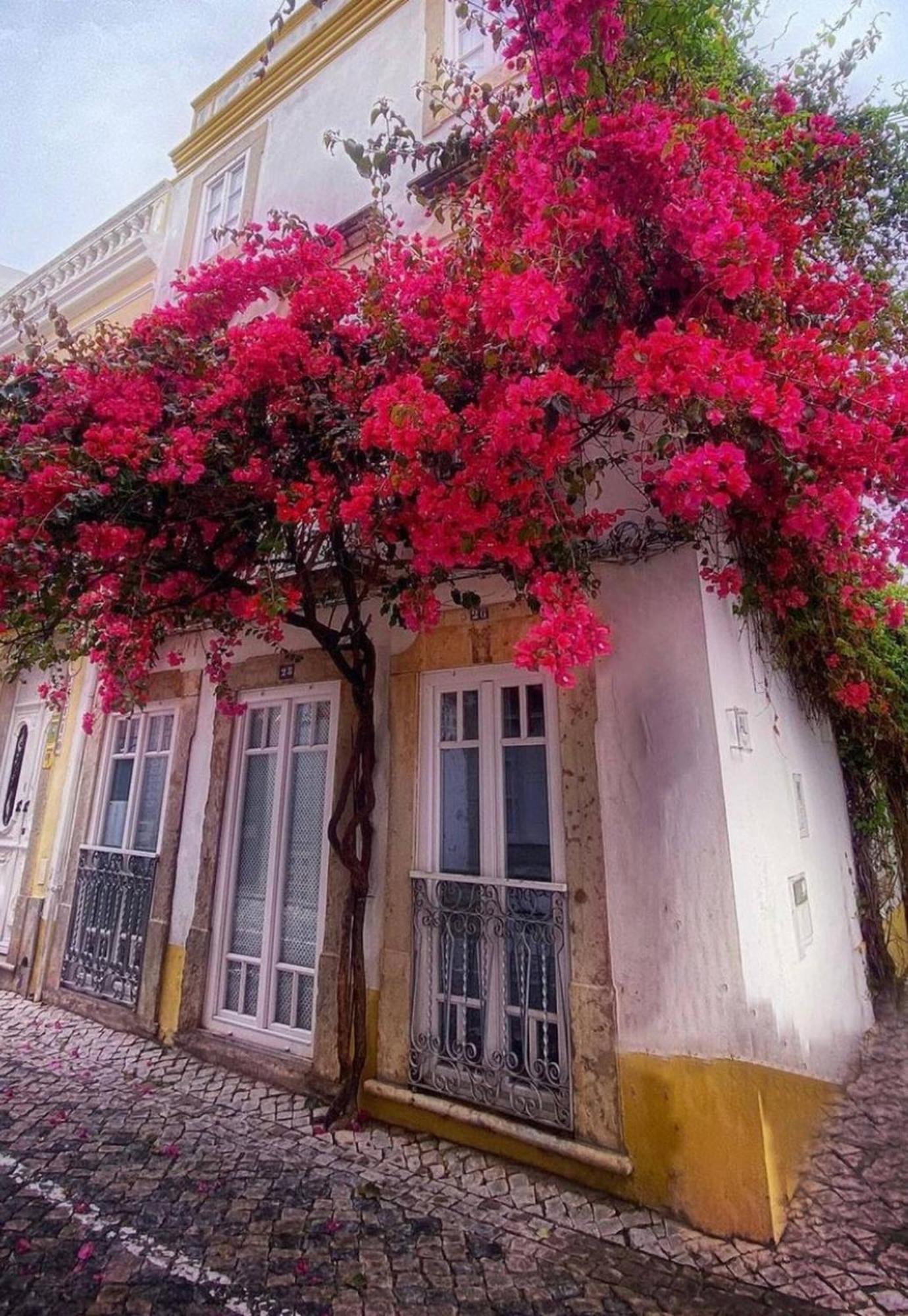 Chic Suite Sequa In Taviras Historical Centre Exterior foto